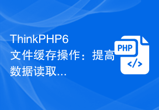 ThinkPHP6文件缓存操作：提高数据读取速度