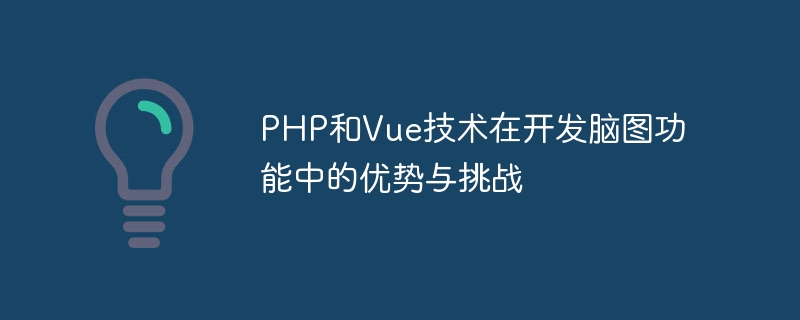 脳マッピング機能開発における PHP と Vue テクノロジーの利点と課題