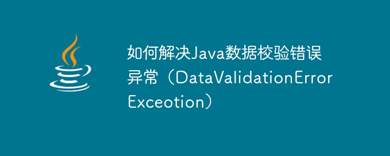 如何解决java数据校验错误异常（datavalidationerrorexceotion）