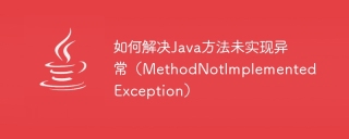 How to solve Java method not implemented exception (MethodNotImplementedException)