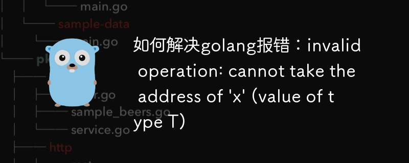 如何解决golang报错：invalid operation: cannot take the address of \'x\' (value of type t)