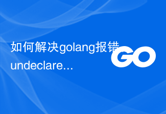 How to solve golang error: undeclared name 'x' (cannot refer to unexported name), solution steps