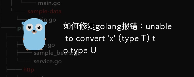 如何修复golang报错：unable to convert 'x' (type T) to type U