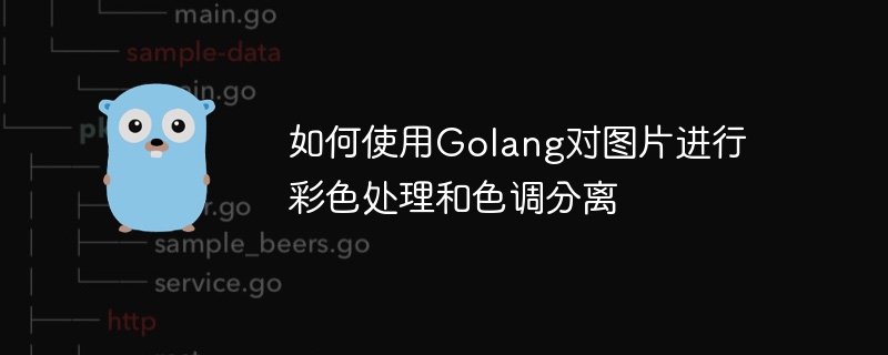 如何使用Golang对图片进行彩色处理和色调分离