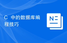 C++中的数据库编程技巧