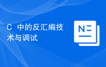 C++中的反汇编技术与调试