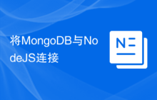 将MongoDB与NodeJS连接