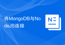 将MongoDB与NodeJS连接