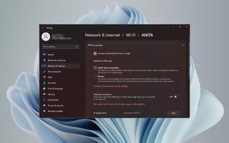 Bagaimana untuk menukar jenis rangkaian kepada peribadi atau awam dalam Windows 11