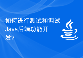 如何进行测试和调试Java后端功能开发？