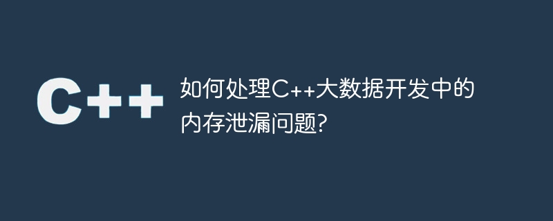 如何处理c++大数据开发中的内存泄漏问题?