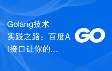 Golang技术实践之路：百度AI接口让你的应用更有竞争力