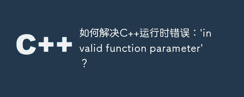 如何解决C++运行时错误：'invalid function parameter'？