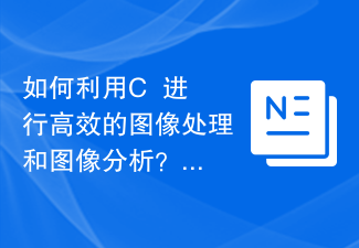C++ を使用して効率的な画像処理と画像分析を行うにはどうすればよいですか?