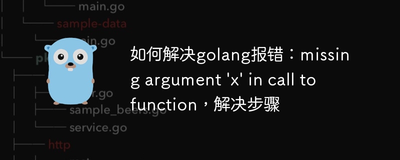 如何解决golang报错：missing argument 'x' in call to function，解决步骤