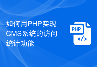 如何用PHP实现CMS系统的访问统计功能