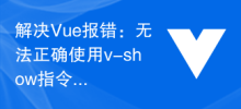Solve Vue error: Unable to correctly use v-show instruction to hide elements
