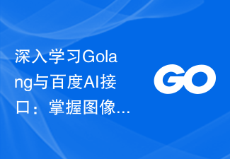 深入学习Golang与百度AI接口:掌握图像分析技术