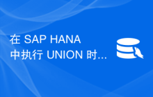 在 SAP HANA 中执行 UNION 时出现内存错误