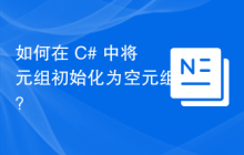 如何在 C# 中将元组初始化为空元组？