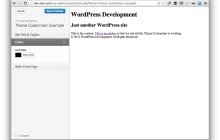 增强您的 WordPress 主题：使用主题定制器引入全新设置