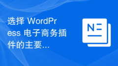 Key Considerations for Choosing a WordPress Ecommerce Plugin