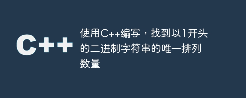 使用C++编写,找到以1开头的二进制字符串的唯一排列数量