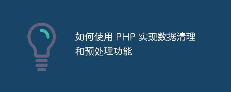 如何使用 PHP 实现数据清理和预处理功能