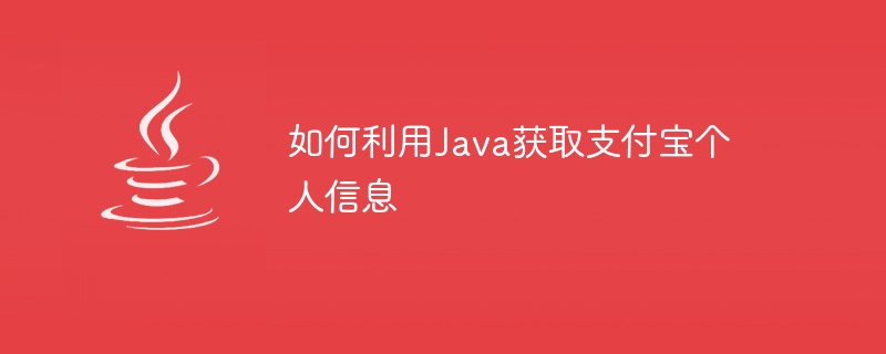 如何利用java获取支付宝个人信息