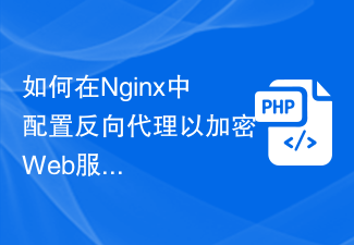 如何在Nginx中配置反向代理以加密Web服务的通信？