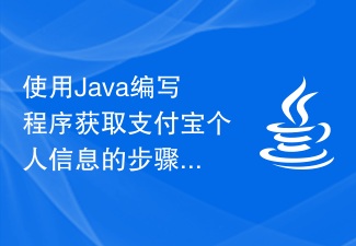 使用Java编写程序获取支付宝个人信息的步骤详解