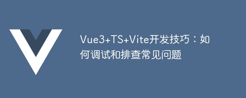 vue3+ts+vite开发技巧：如何调试和排查常见问题