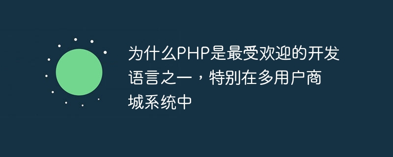 PHP가 특히 다중 사용자 쇼핑몰 시스템에서 가장 인기 있는 개발 언어 중 하나인 이유