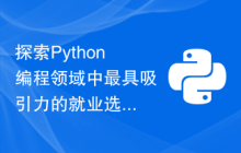 探索Python编程领域中最具吸引力的就业选择