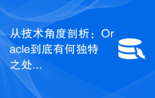 从技术角度剖析：Oracle到底有何独特之处？