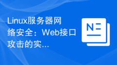 Linux Server Network Security: Real-time Detection and Response to Web Interface Attacks.