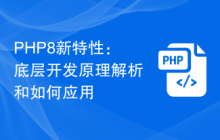 PHP8新特性:底层开发原理解析和如何应用