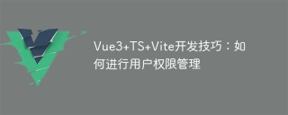 vue3+ts+vite开发技巧：如何进行用户权限管理