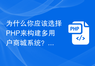 Pourquoi devriez-vous choisir PHP pour créer un système de centre commercial multi-utilisateurs ?