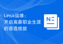 Linux运维：开启高薪职业生涯的首选技能