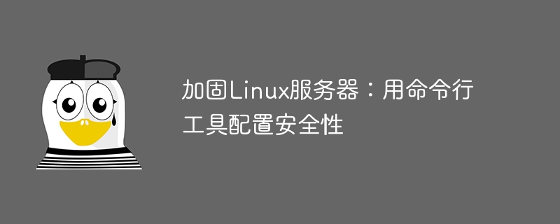 Linux 서버 강화: 명령줄 도구를 사용하여 보안 구성