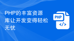 PHP的豐富資源庫讓開發變得輕鬆無憂