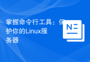 掌握命令行工具：保护你的Linux服务器