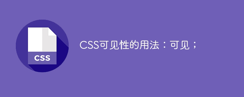 CSS の使用可視性: 表示;