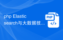 php Elasticsearch与大数据技术的结合实践指南