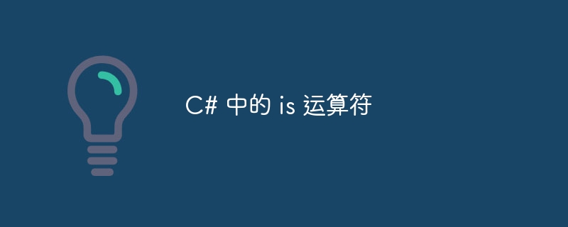 C# 中的 is 运算符