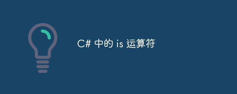 c# 中的 is 运算符