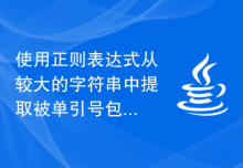 使用正则表达式从较大的字符串中提取被单引号包围的字符串的Java程序