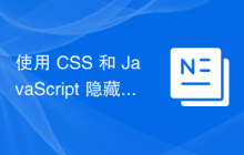 使用 CSS 和 JavaScript 隐藏网页上的光标