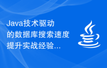 Java技术驱动的数据库搜索速度提升实战经验分享与总结